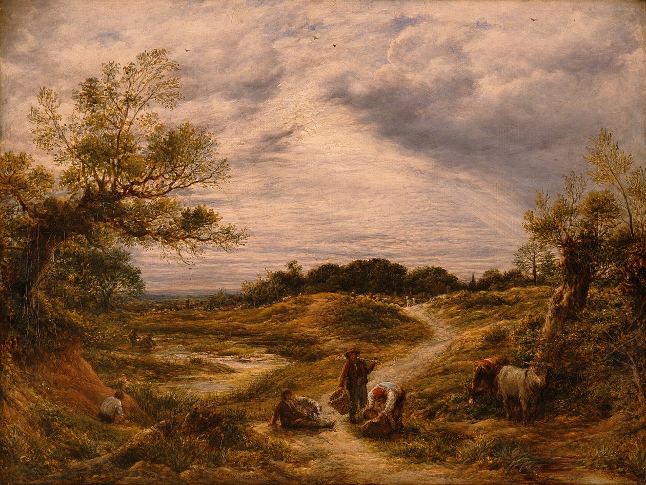 Hampstead Heath, kolem 1855-56 (olej na plátně) od John Linnell