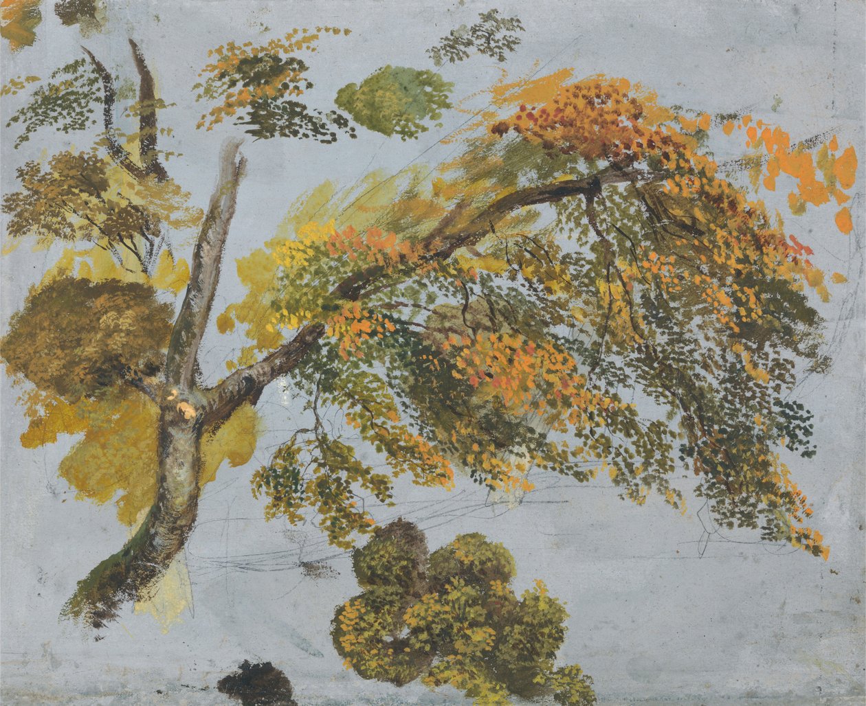 Baumstudie (Herbstlaub) od John Linnell