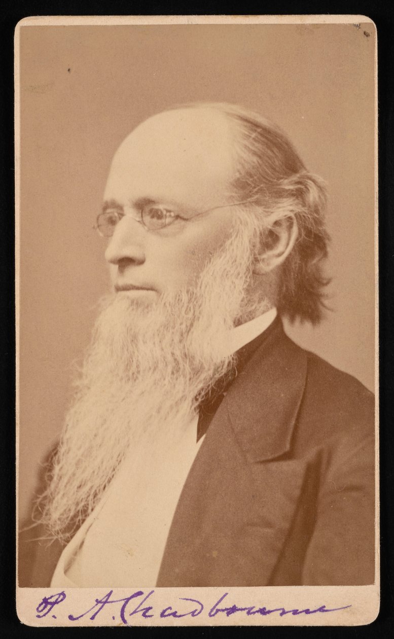 Portrét Paula Ansela Chadbourna 1823-1883, mezi 1872 a 1875. od John Lyman Lovell