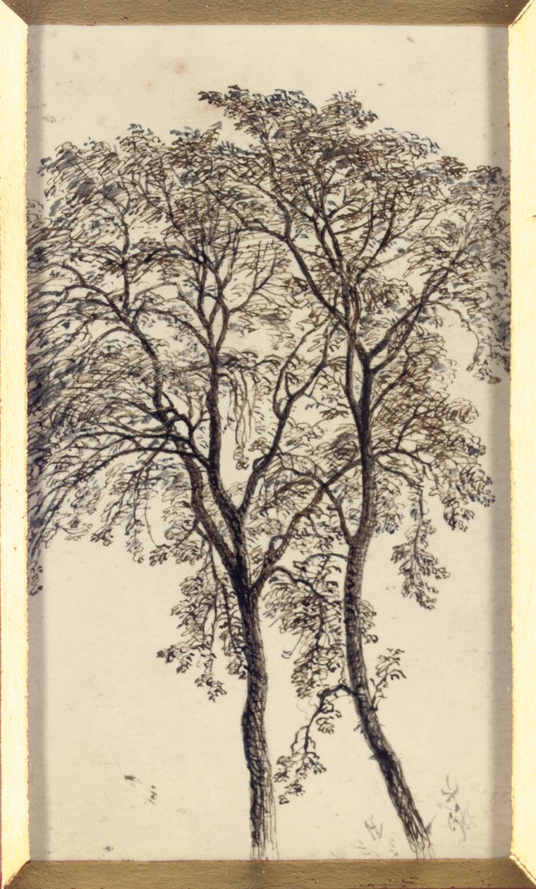 Studium stromů od John MacWhirter