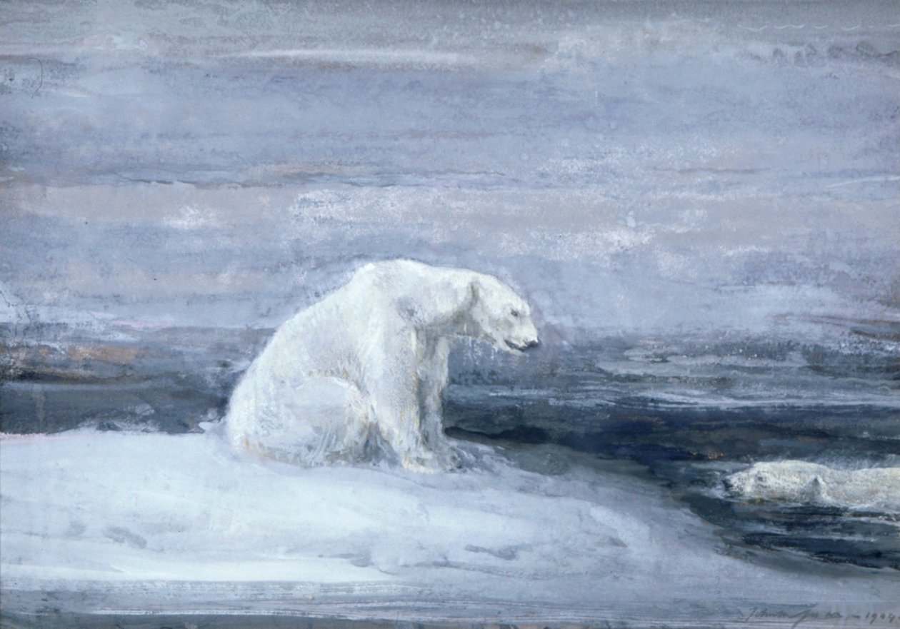 „Polární medvědi sledují tuleně v ledové díře“, c1867-1910 od John Macallan Swan