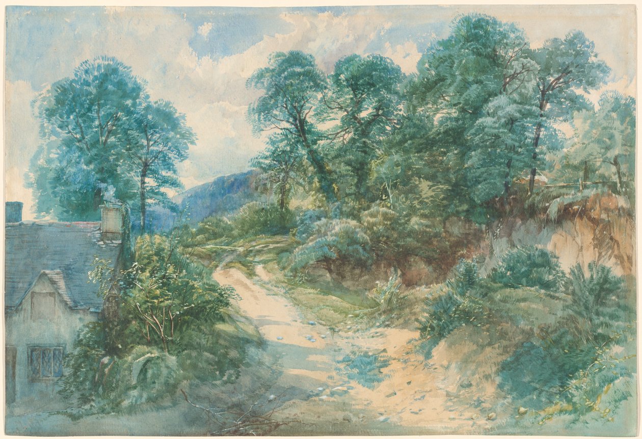 Country Lane od John Middleton