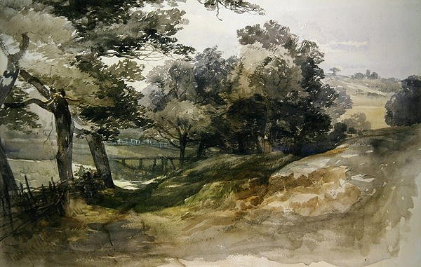 Shady Lane, Tunbridge Wells od John Middleton