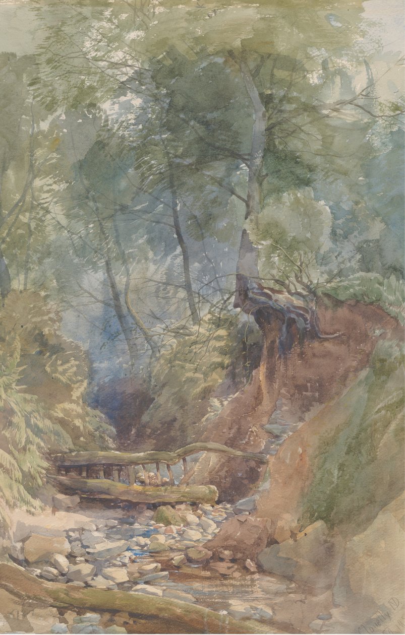 Potok poblíž Clovelly, Severní Devon, 1850. od John Middleton