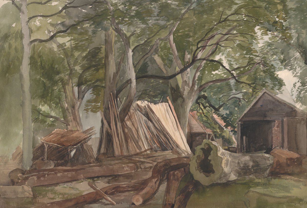 Mýtina s dřevem, 1847 . od John Middleton
