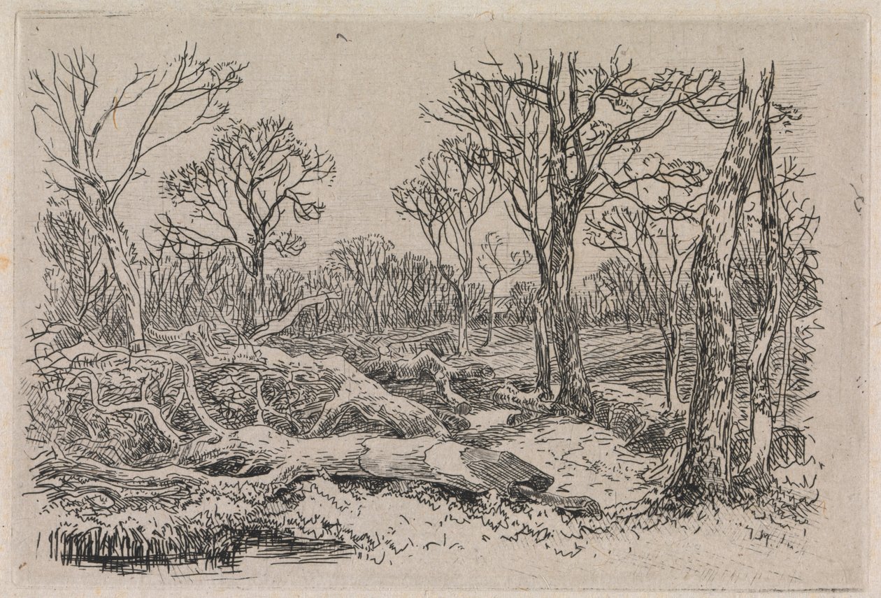 Potěšený dřevo, Burningham od John Middleton
