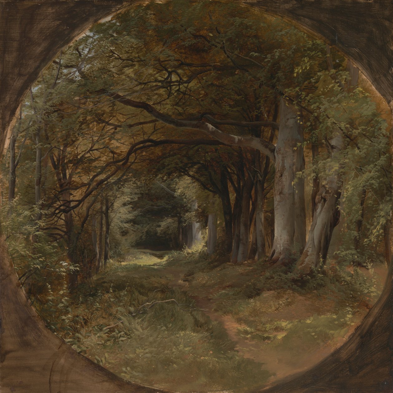 Krajina od John Middleton