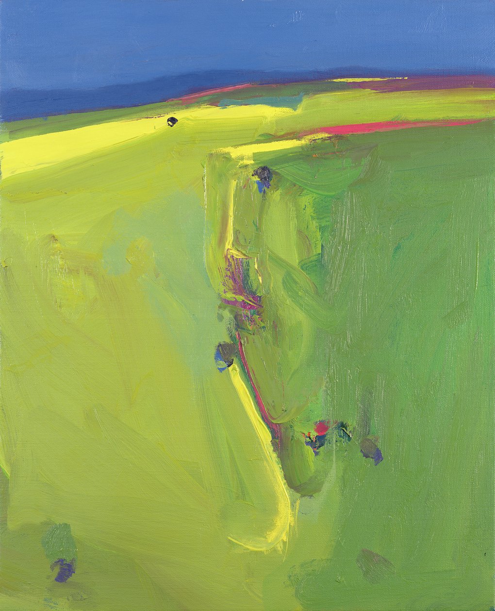 Summer Downs, 2000 od John Miller