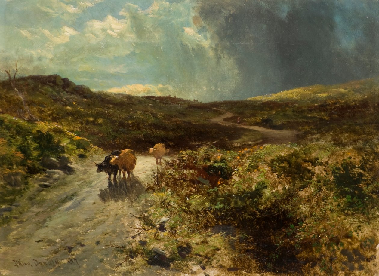 Drove Road od John Milne Donald