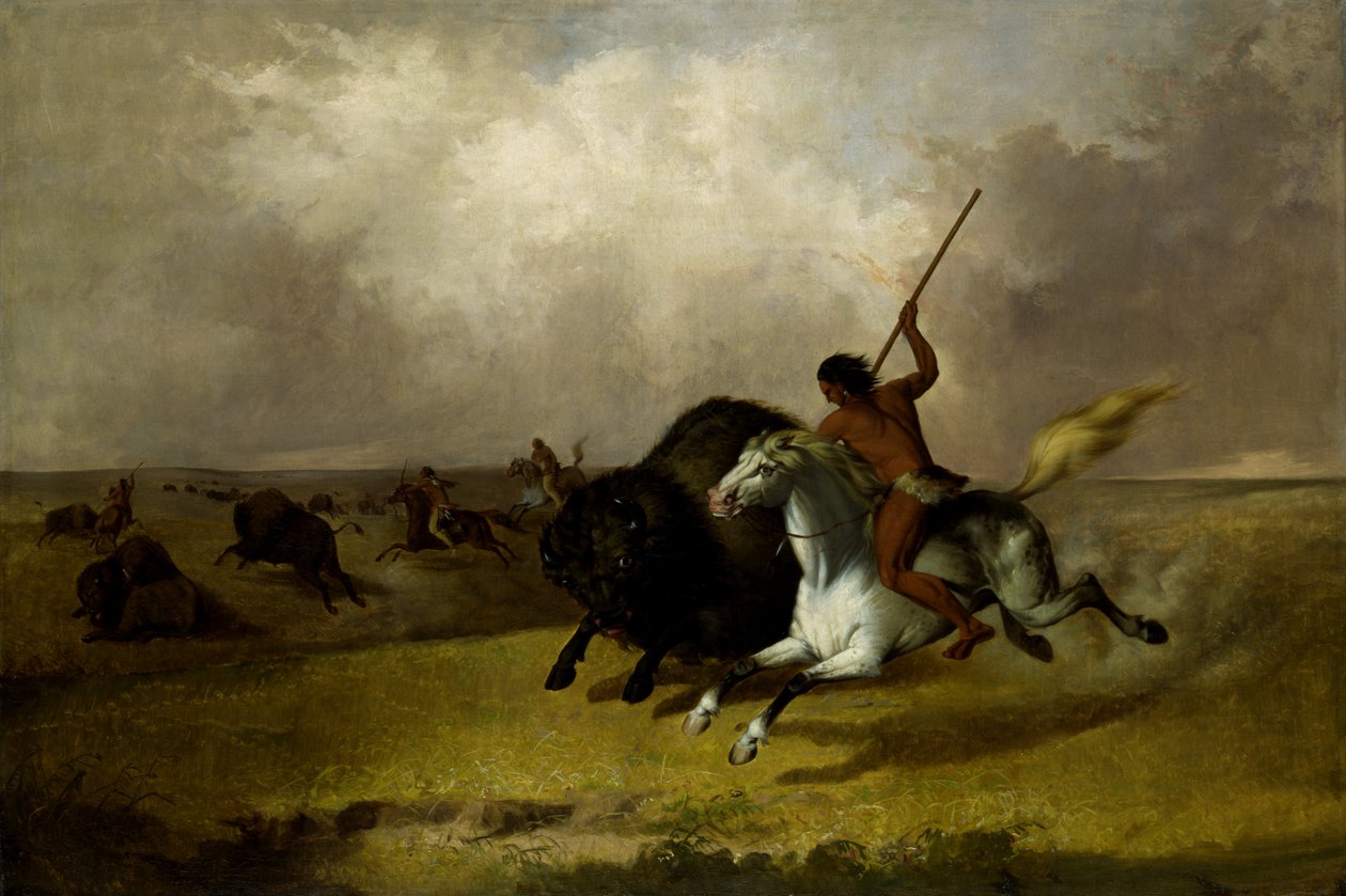 Buffalo Hunt na jihozápadních prériích, 1845. od John Mix Stanley