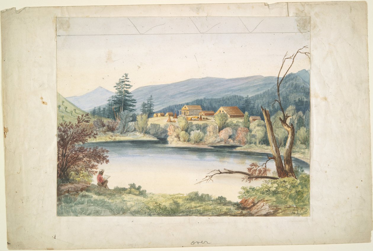 Misie Coeur d
