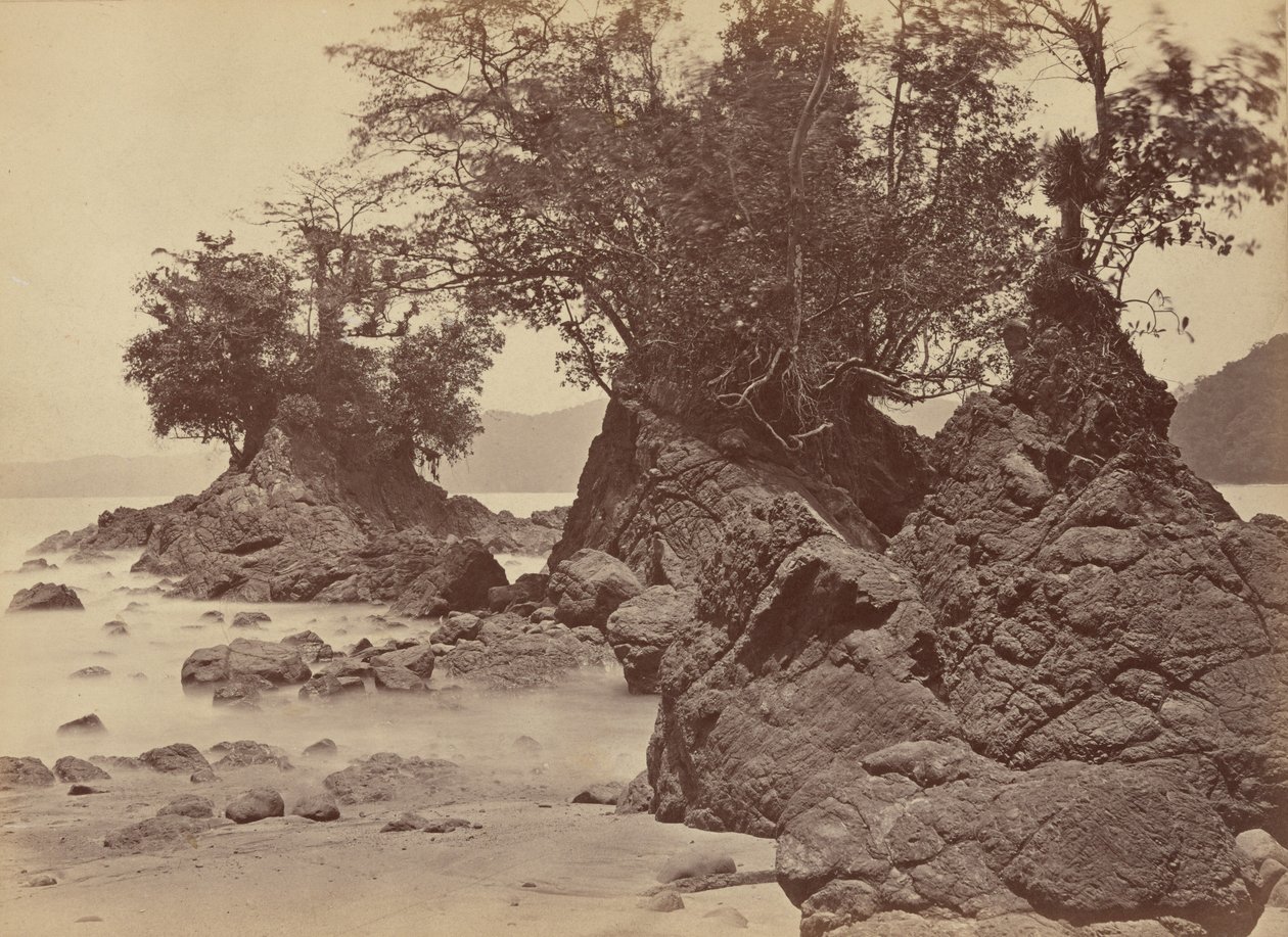 Ostrovy, Limonský záliv, 1871 (foto) od John Moran