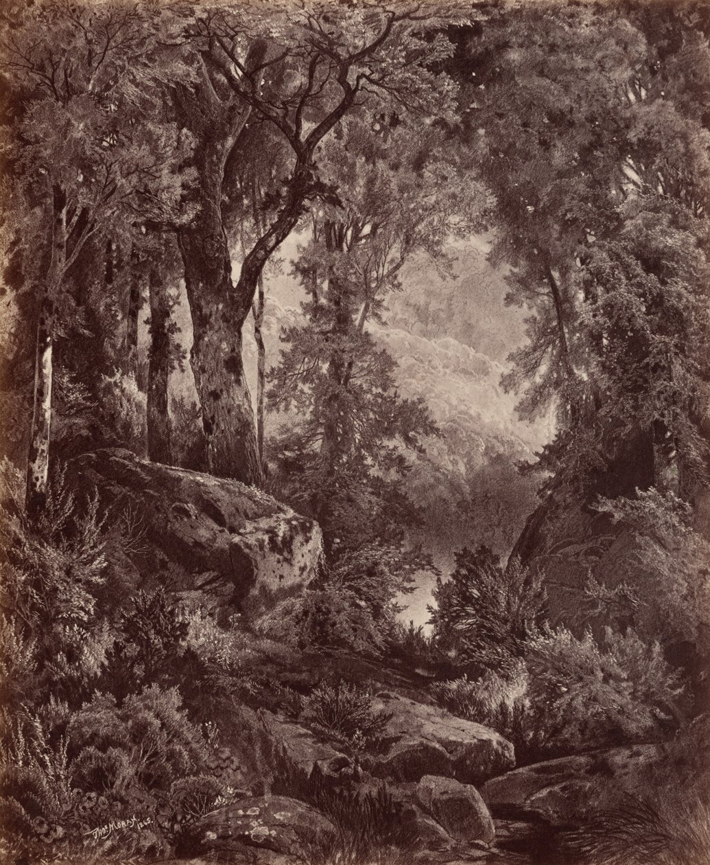 Samota,1865 (foto) od John Moran