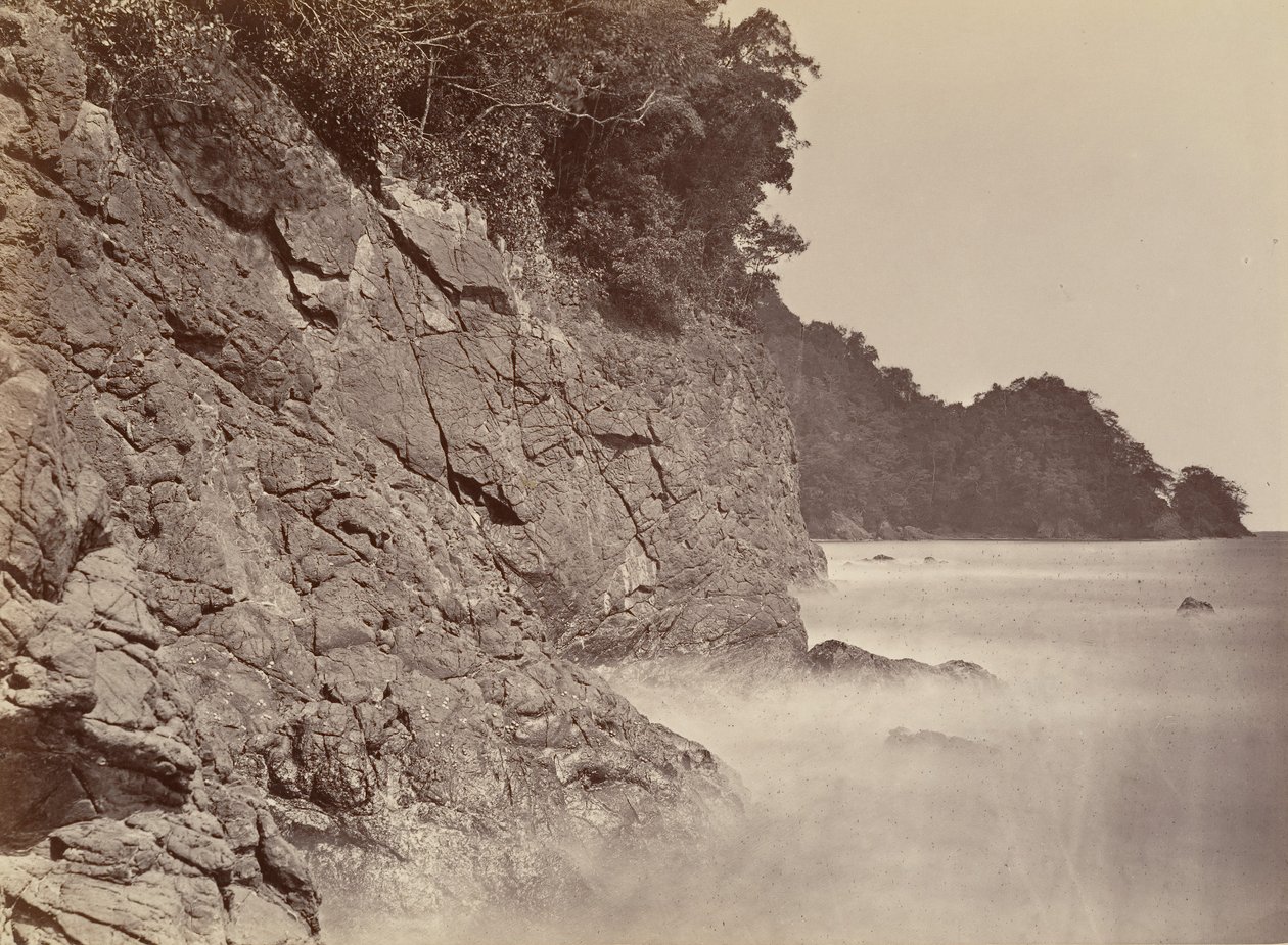 Tropická scenérie, Cliff - Limon Bay, 1871. od John Moran