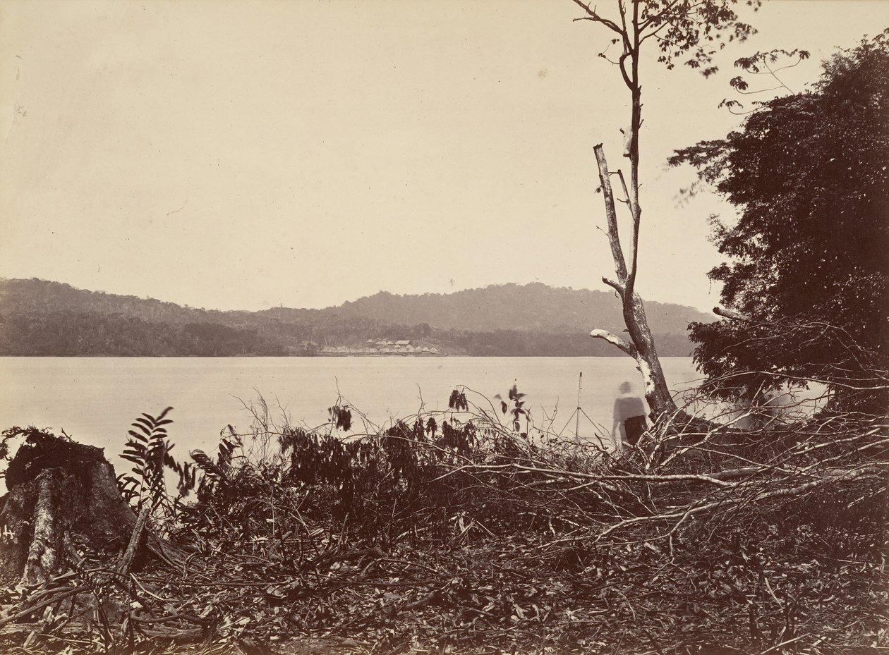 Tropická scenérie, Darien Harbor, Chipigana, 1871. od John Moran