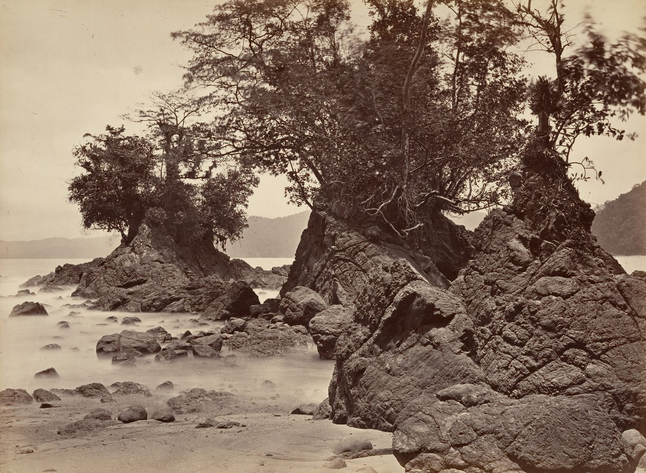 Tropická krajina, Limon Bay – odliv, 1871. od John Moran