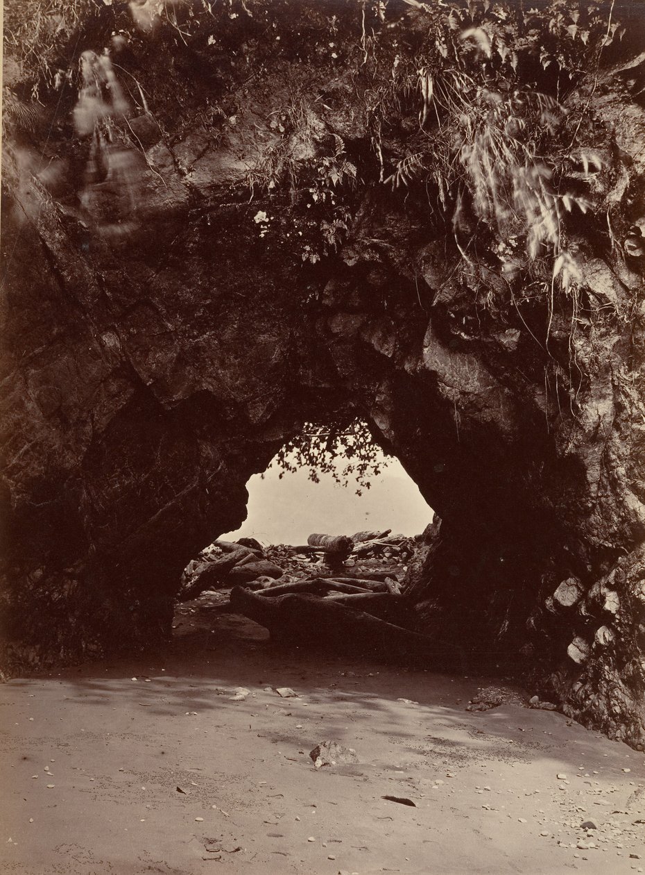 Tropická krajina, přírodní oblouk, zátoka Cupica, 1871. od John Moran