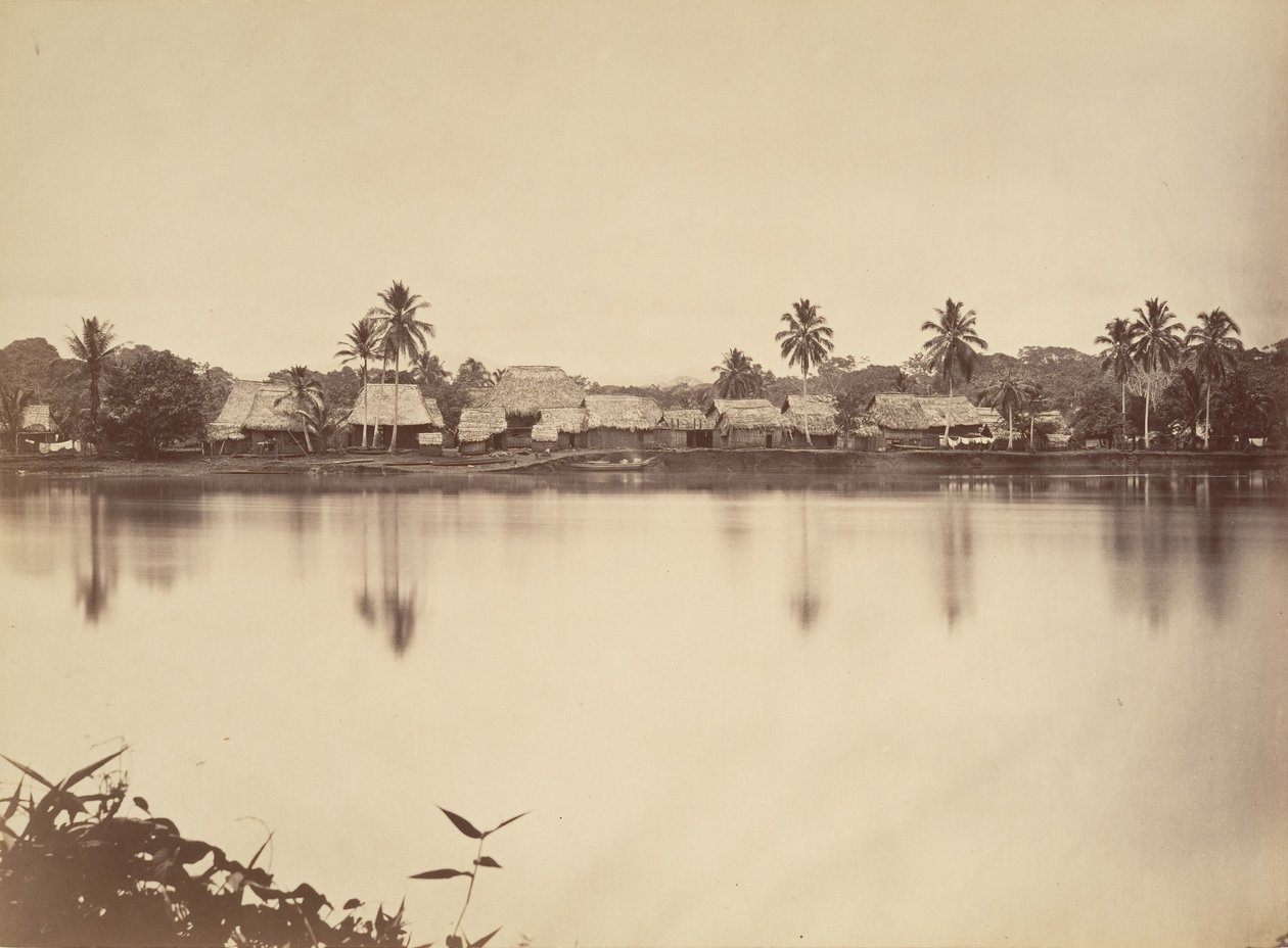 Tropická scenérie, Santa Maria del Real, Darien, 1871. od John Moran