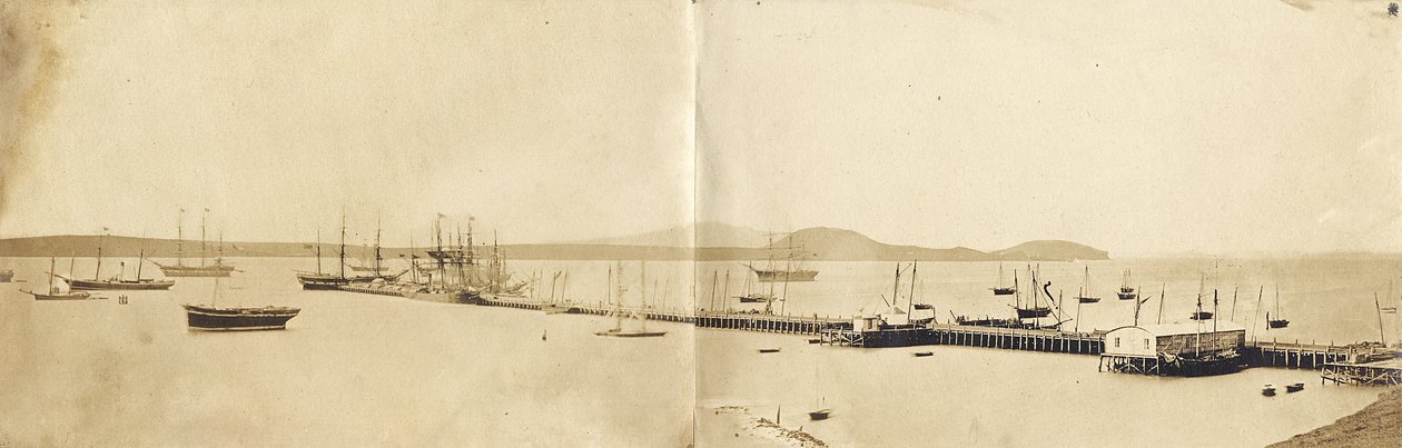 Auckland Harbour, 1865 (tisk alba) od John Nicol Crombie