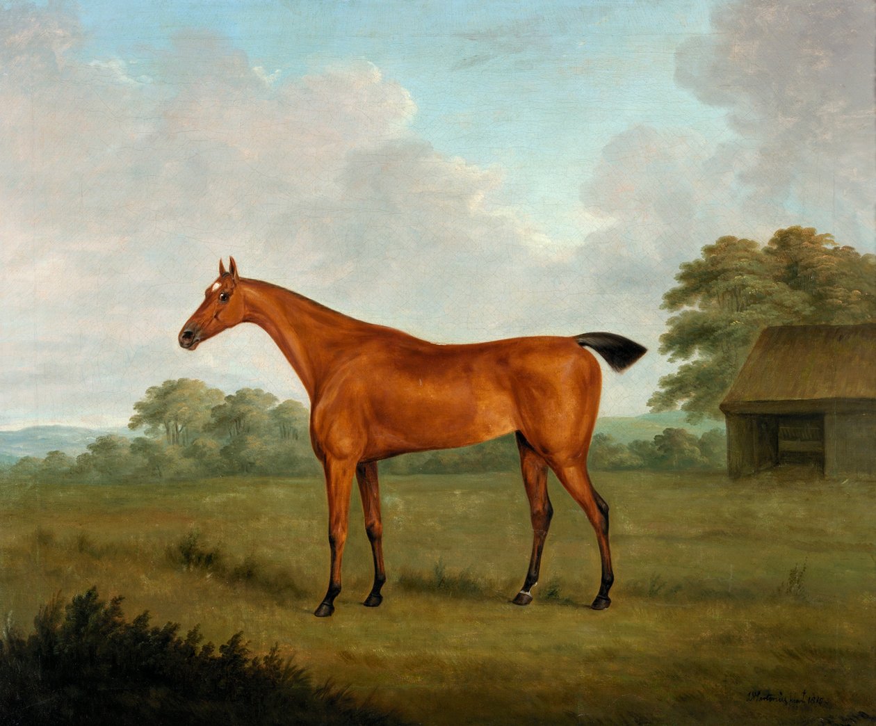 Kaštanový kůň v krajině, 1815 od John Nott Sartorius