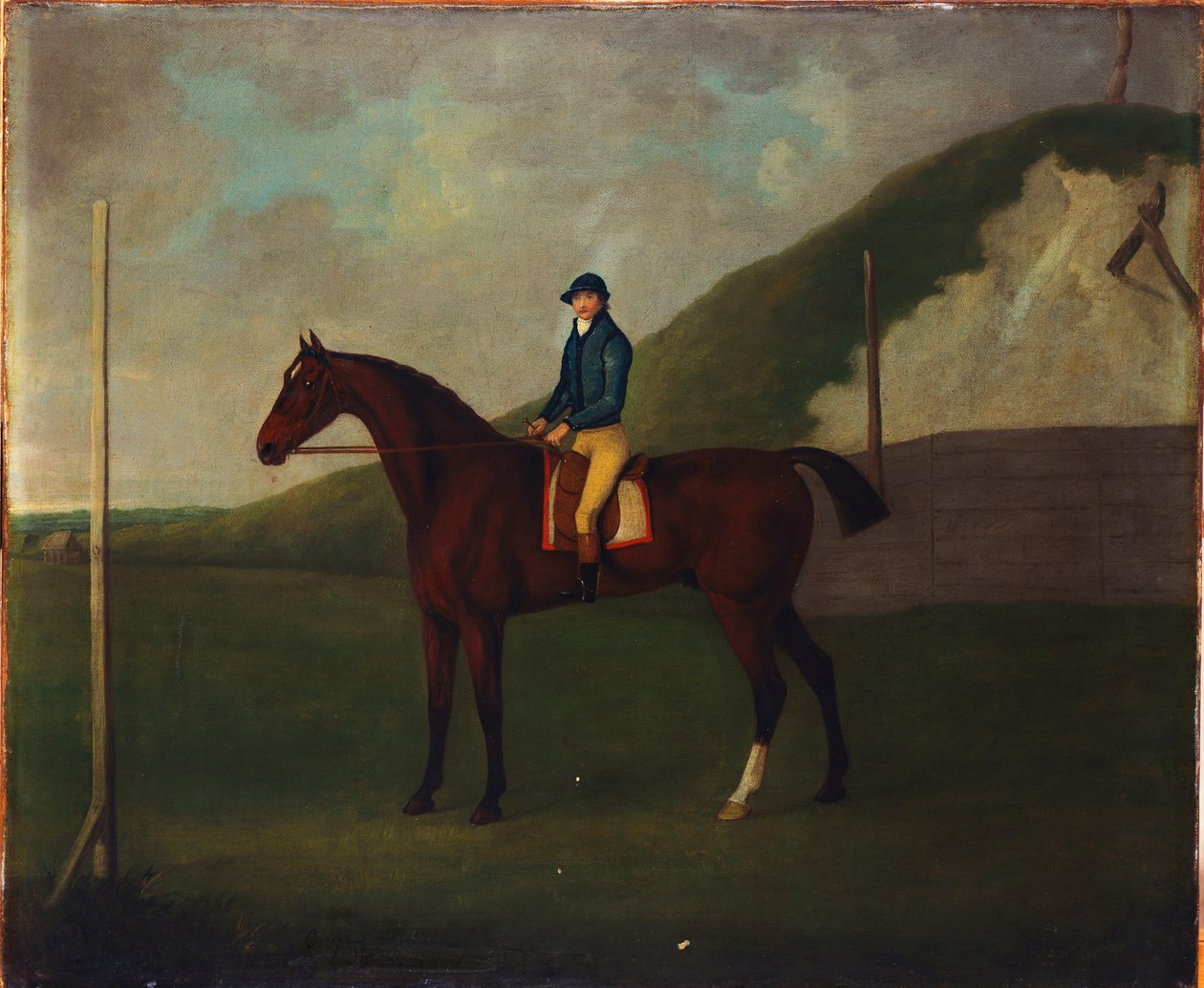"Creeper", Bay Colt s žokejem nahoře na startovním stanovišti v Running Gap In The Devils Ditch, Newmarket od John Nott Sartorius