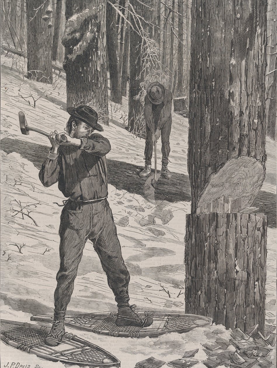 Dřevorubectví v zimě Každou sobotu, sv. II, Nová řada, 28. ledna 1871. od John Parker Davis