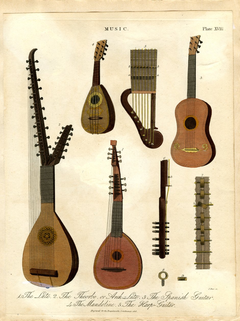 Loutna;Theorba;Arci-loutna;Španělská kytara;Mandolína;Harfa-kytara od John Pass