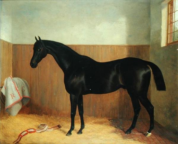 Tommy, Portrét koně, cca 1870 (olej na plátně) od John Paul