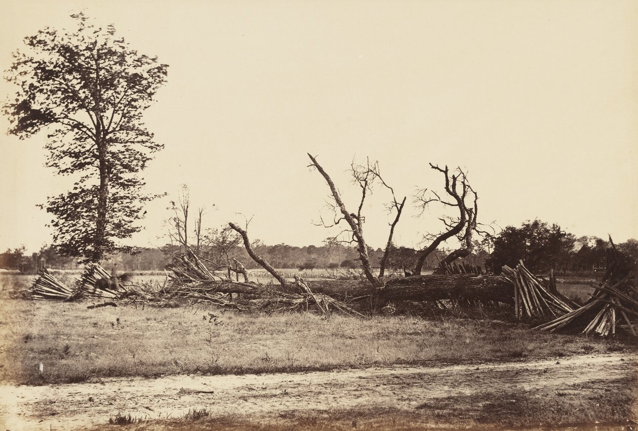 Extreme Line of Confederate Works, Cold Harbor., duben 1865 (tisk alba na tkaném papíře) od John Reekie