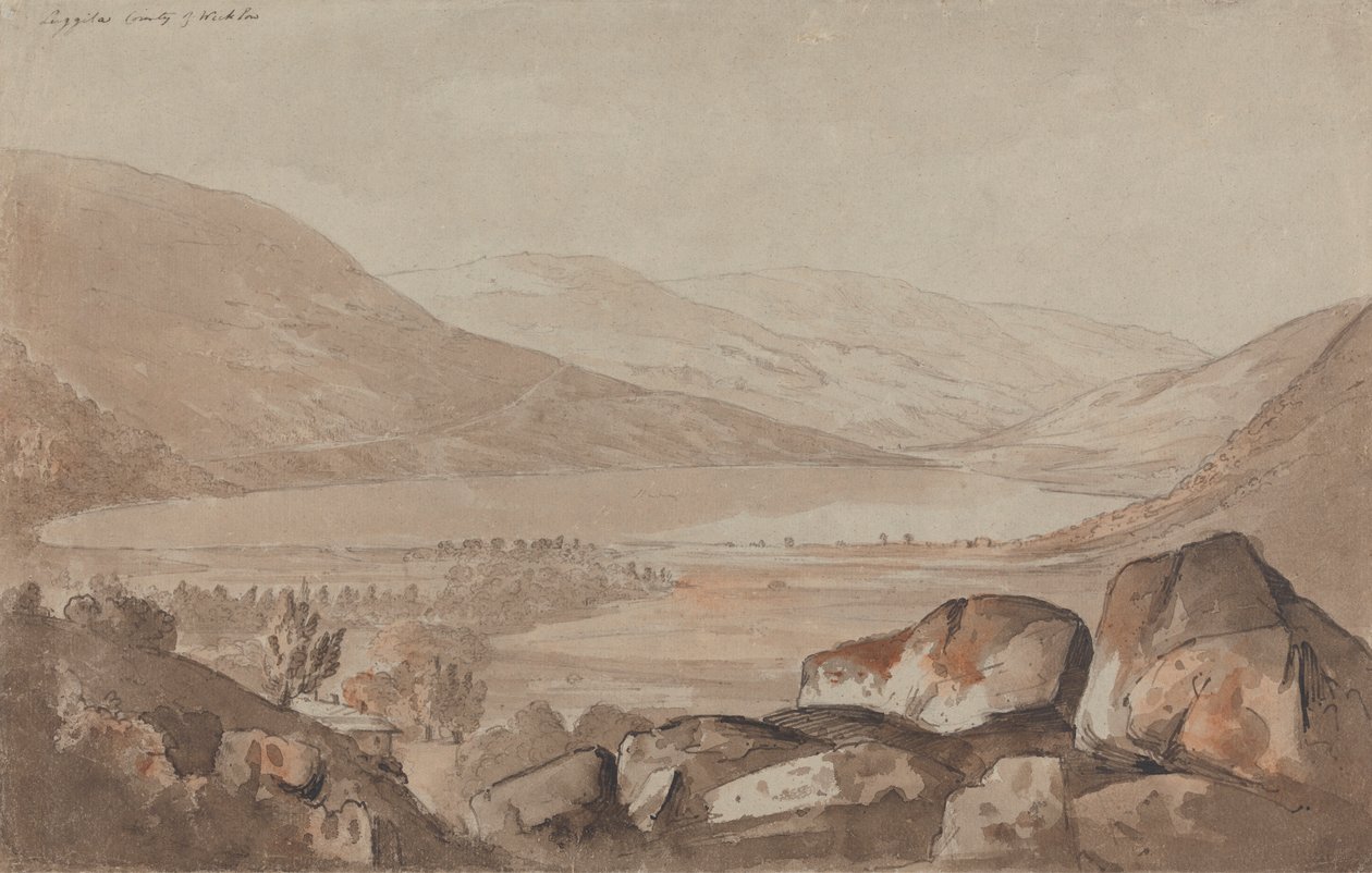 Luggila, hrabství Wicklow od John Renton