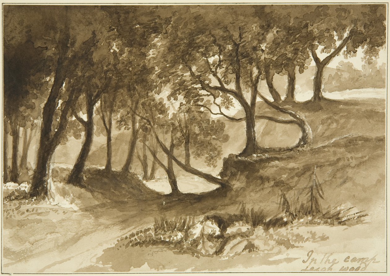Pohled v kempu Burwalls, Leigh Woods od John Reverend Eden