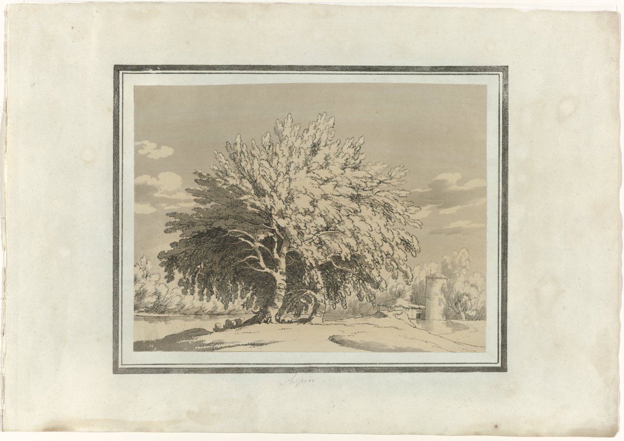 Osika od John Robert Cozens