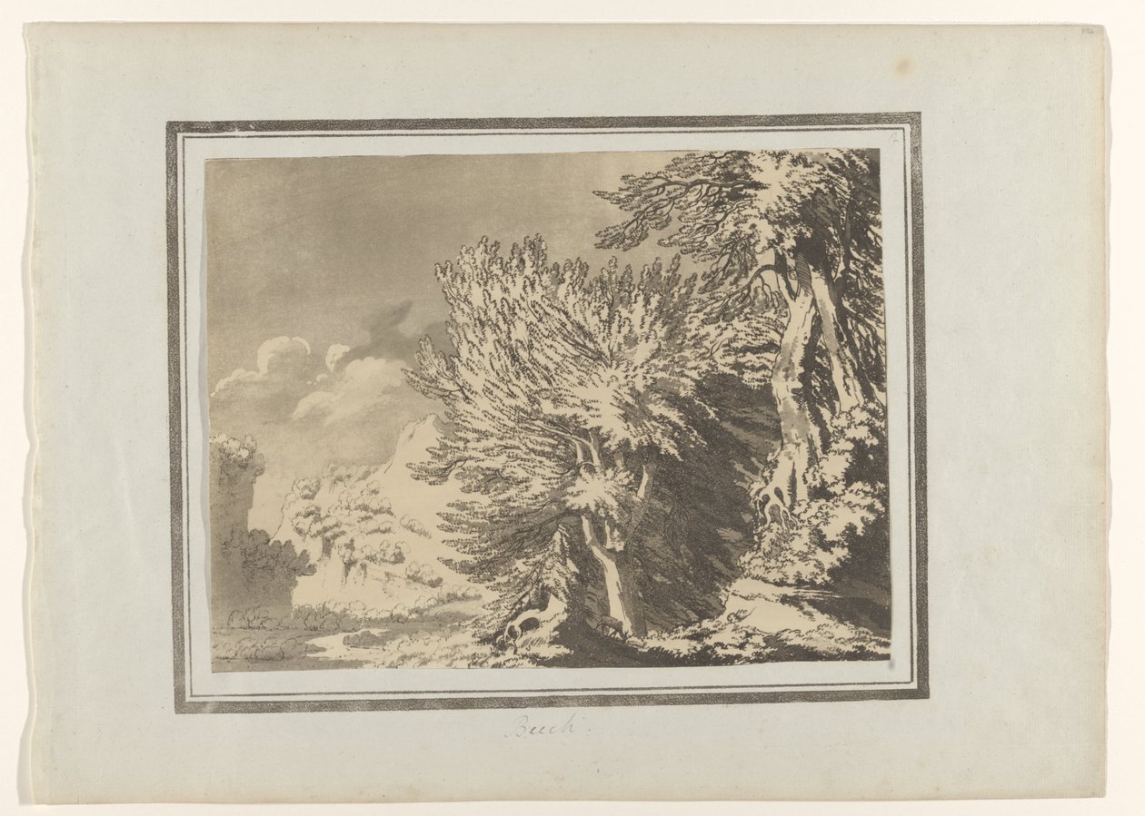 Beuk Buk (název na objektu) Verschillende soorten bomen (název série) Vymezení obecného charakteru, větví a listů lesních stromů (název série) od John Robert Cozens