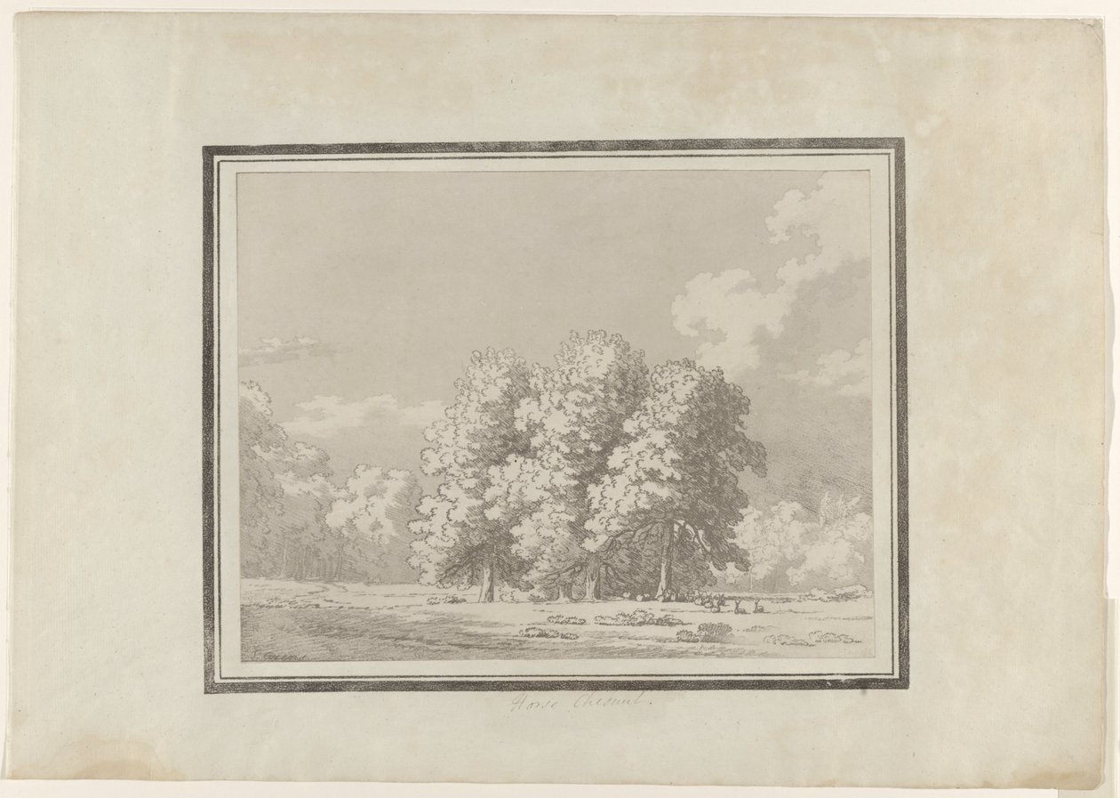 Kaštan od John Robert Cozens