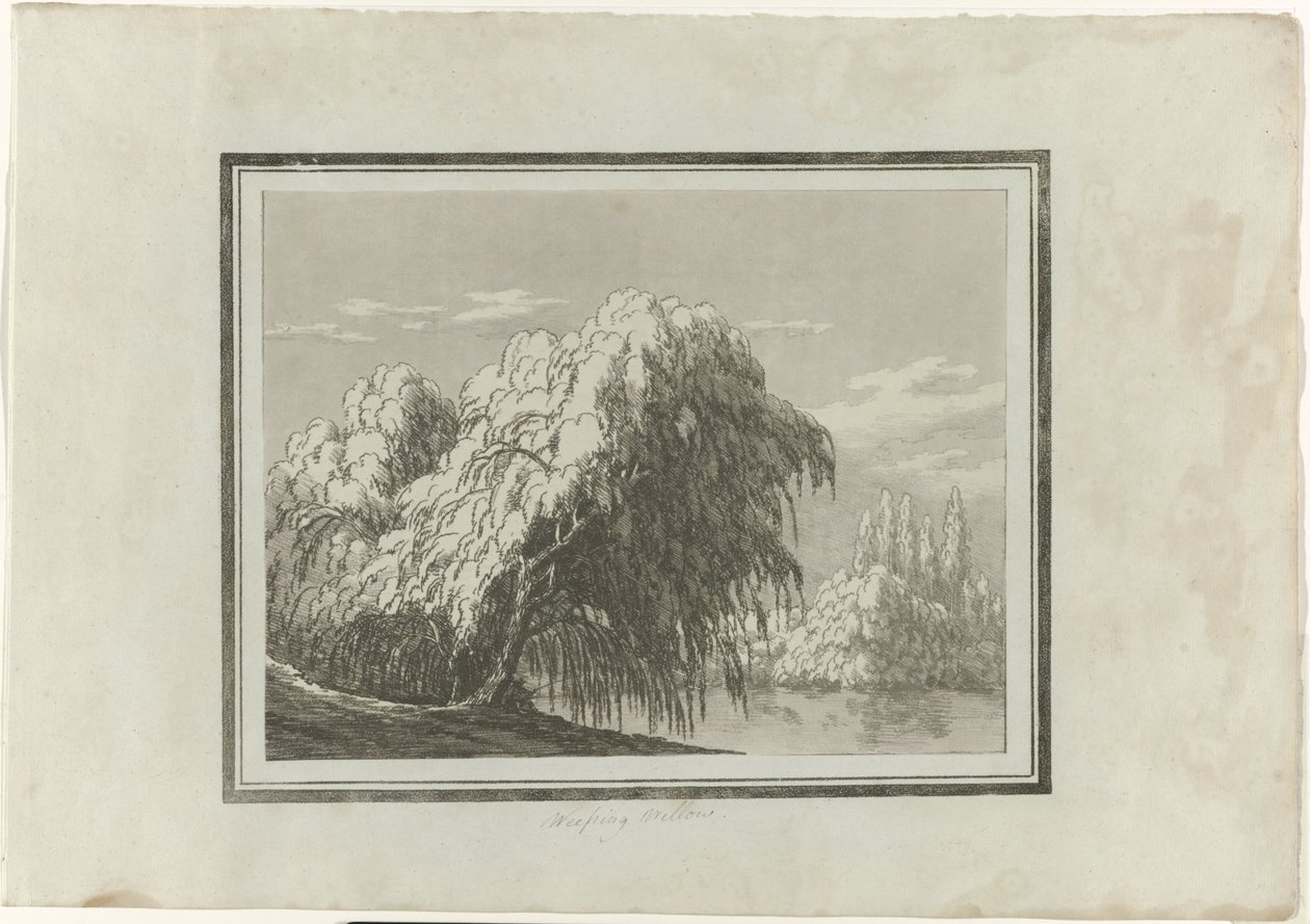 Smuteční vrba od John Robert Cozens
