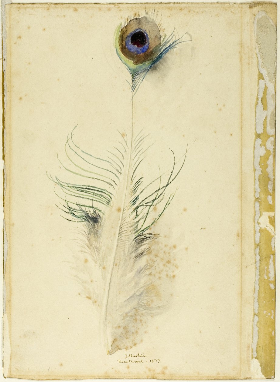 Paví peří od John Ruskin