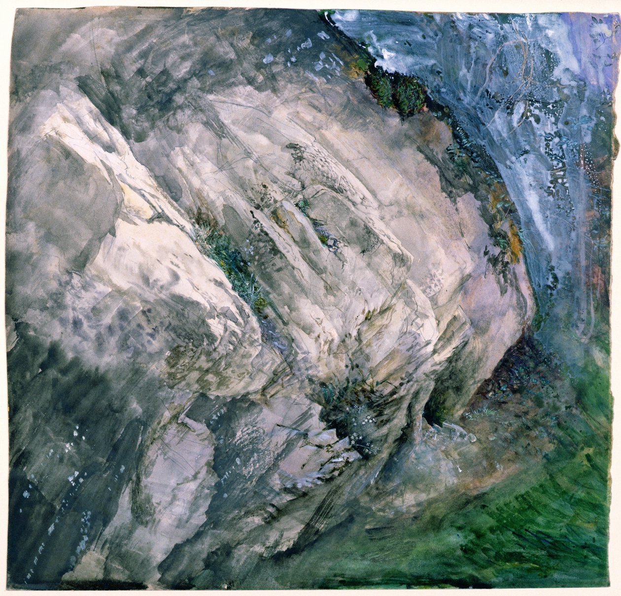 Skály a vegetace v Chamouni, 1854 od John Ruskin
