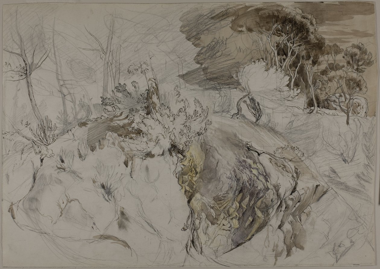 Keře a stromy ve skalnaté krajině od John Ruskin