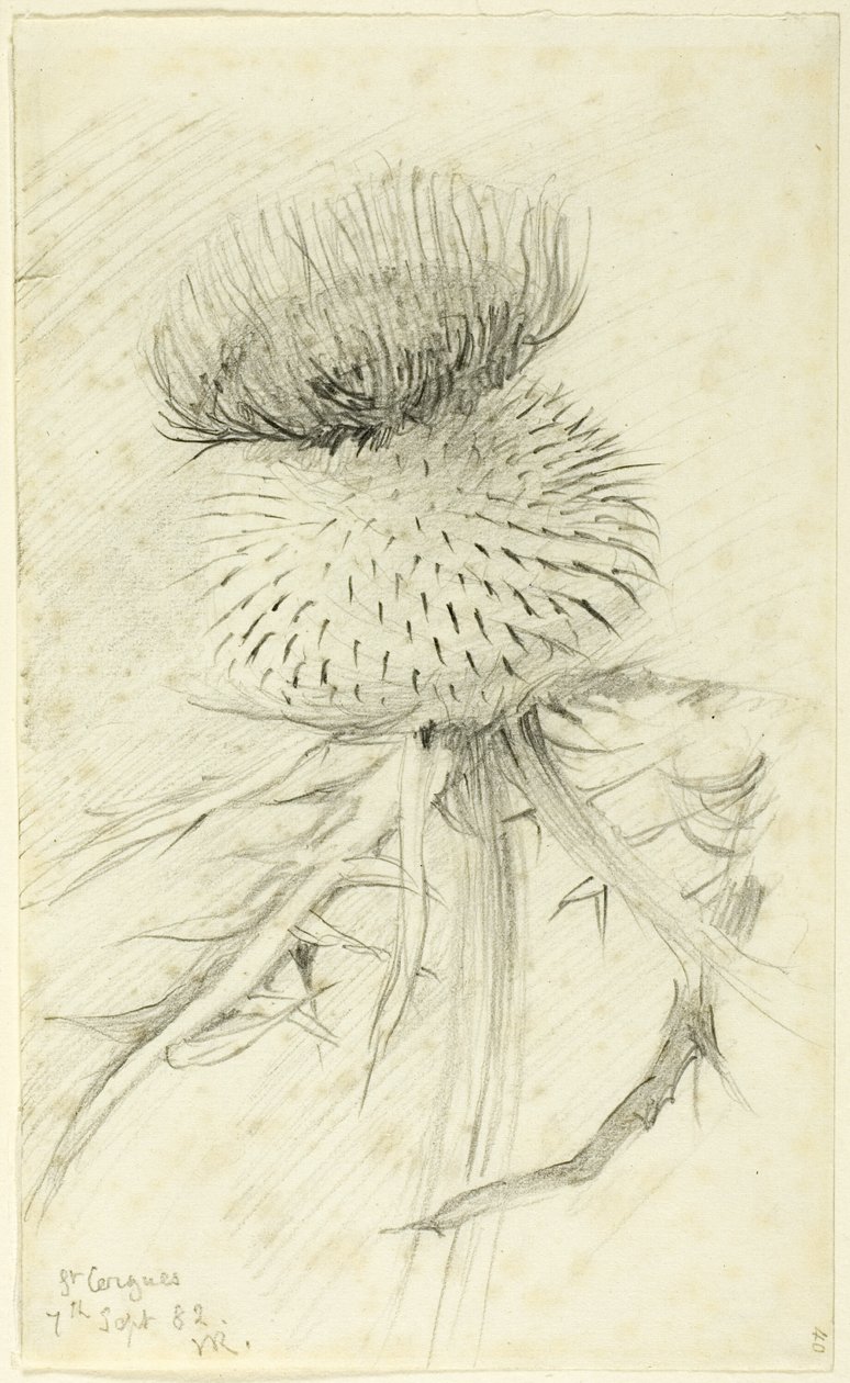 St. Cergues od John Ruskin
