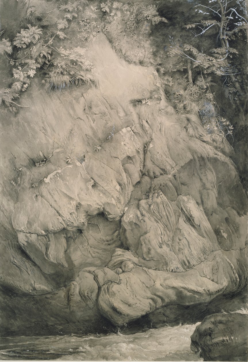 Study of Gneiss Rock, Glenfinlas, červenec 1853-únor 1854 od John Ruskin