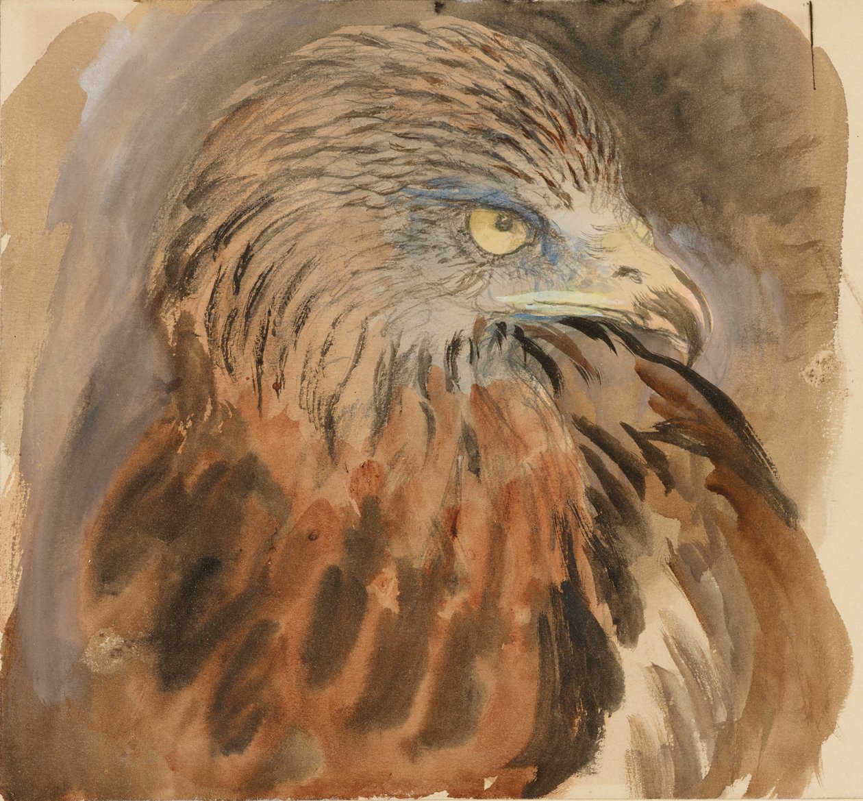 Hlava draka, ze života, 30. srpna - 1. září 1870. od John Ruskin