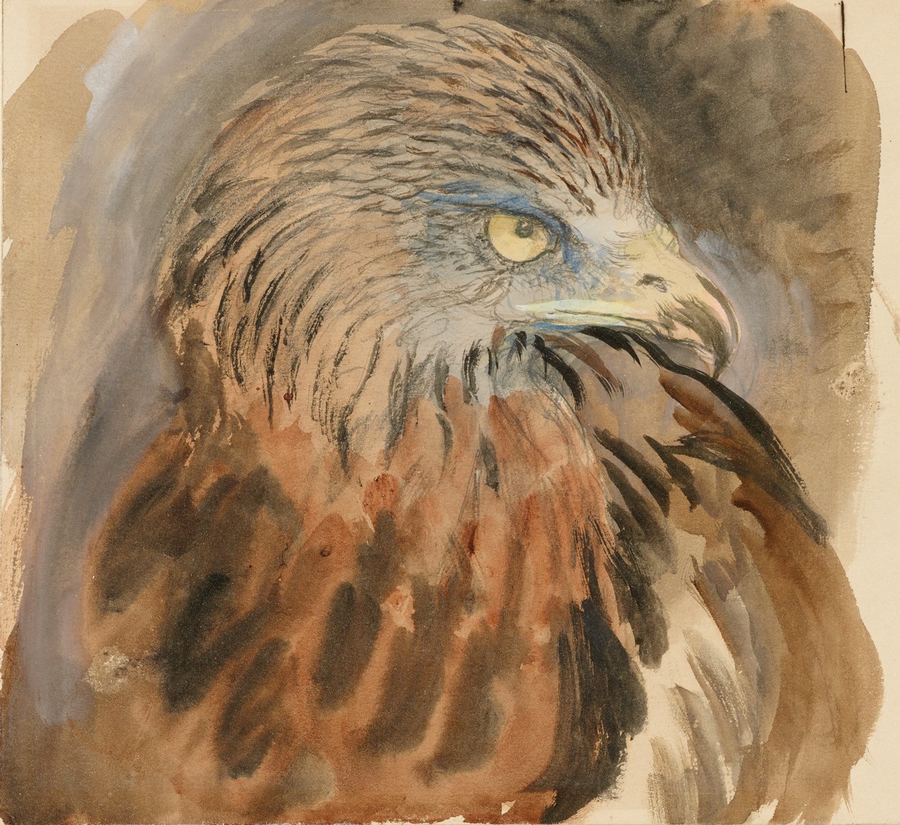 Hlava draka, ze života, 30. srpna - 1. září 1870. od John Ruskin