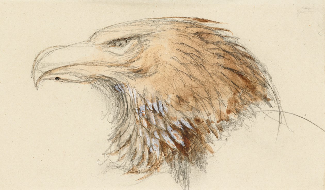Závěsný od John Ruskin