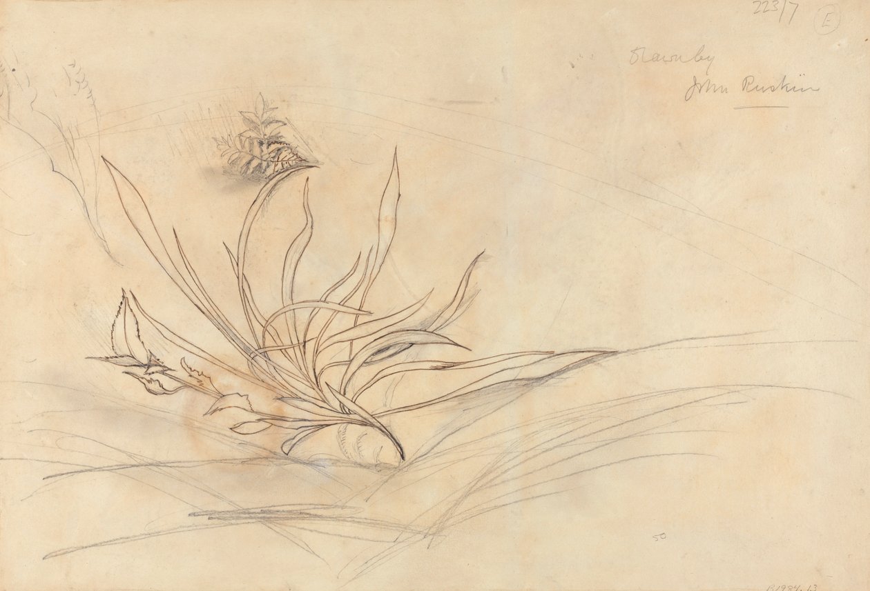 Skalnatý břeh řeky od John Ruskin