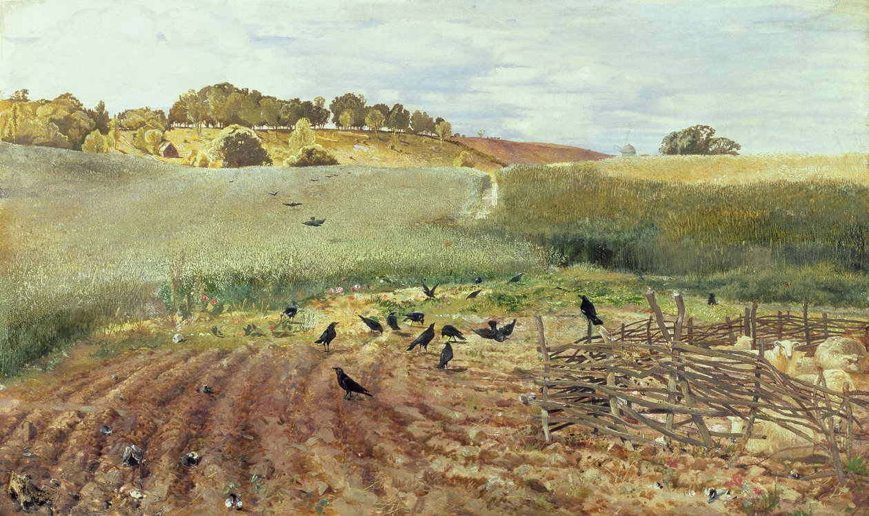 The Rooks Parliament, 1858 od John Samuel Raven