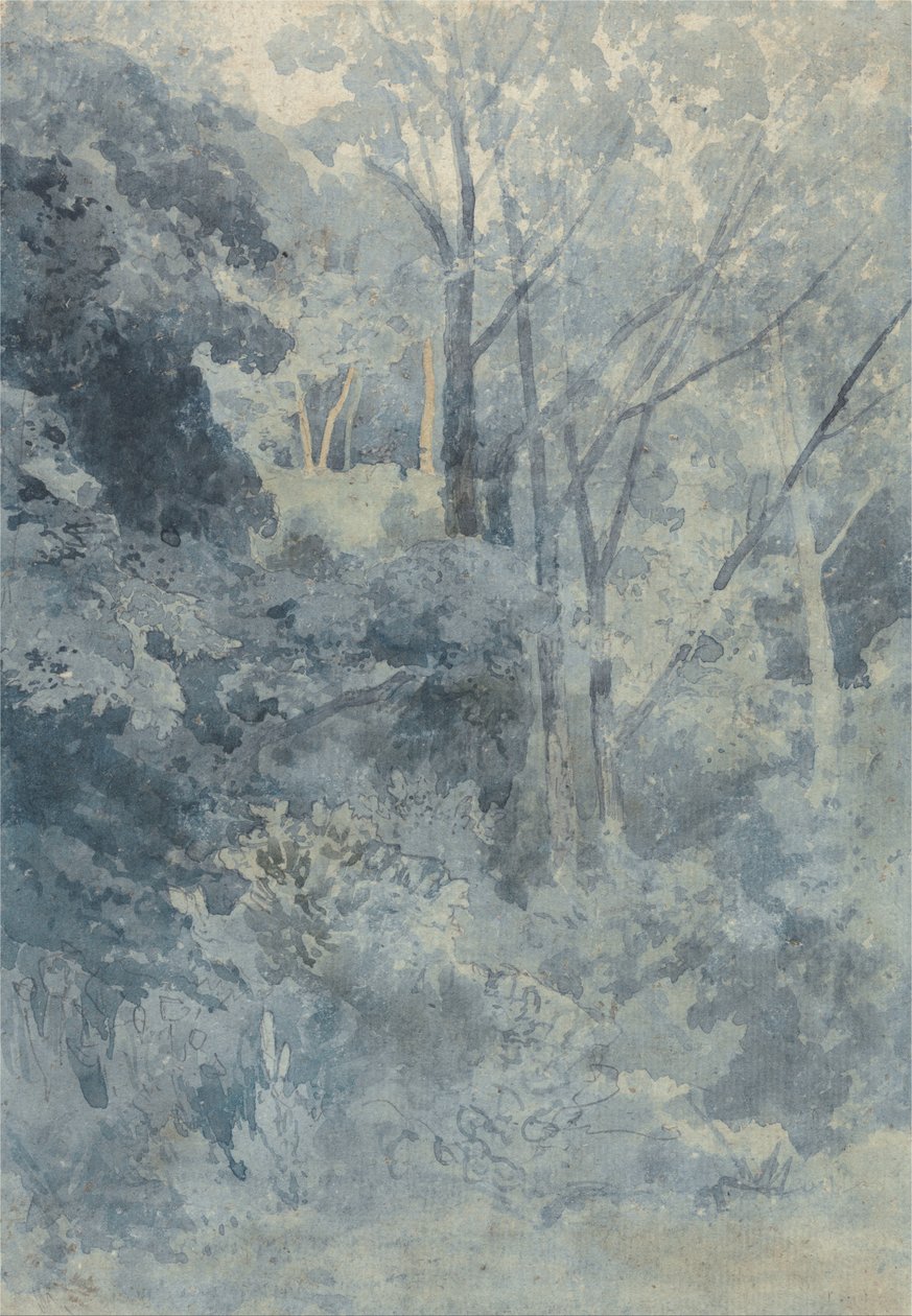V parku Rokeby od John Sell Cotman