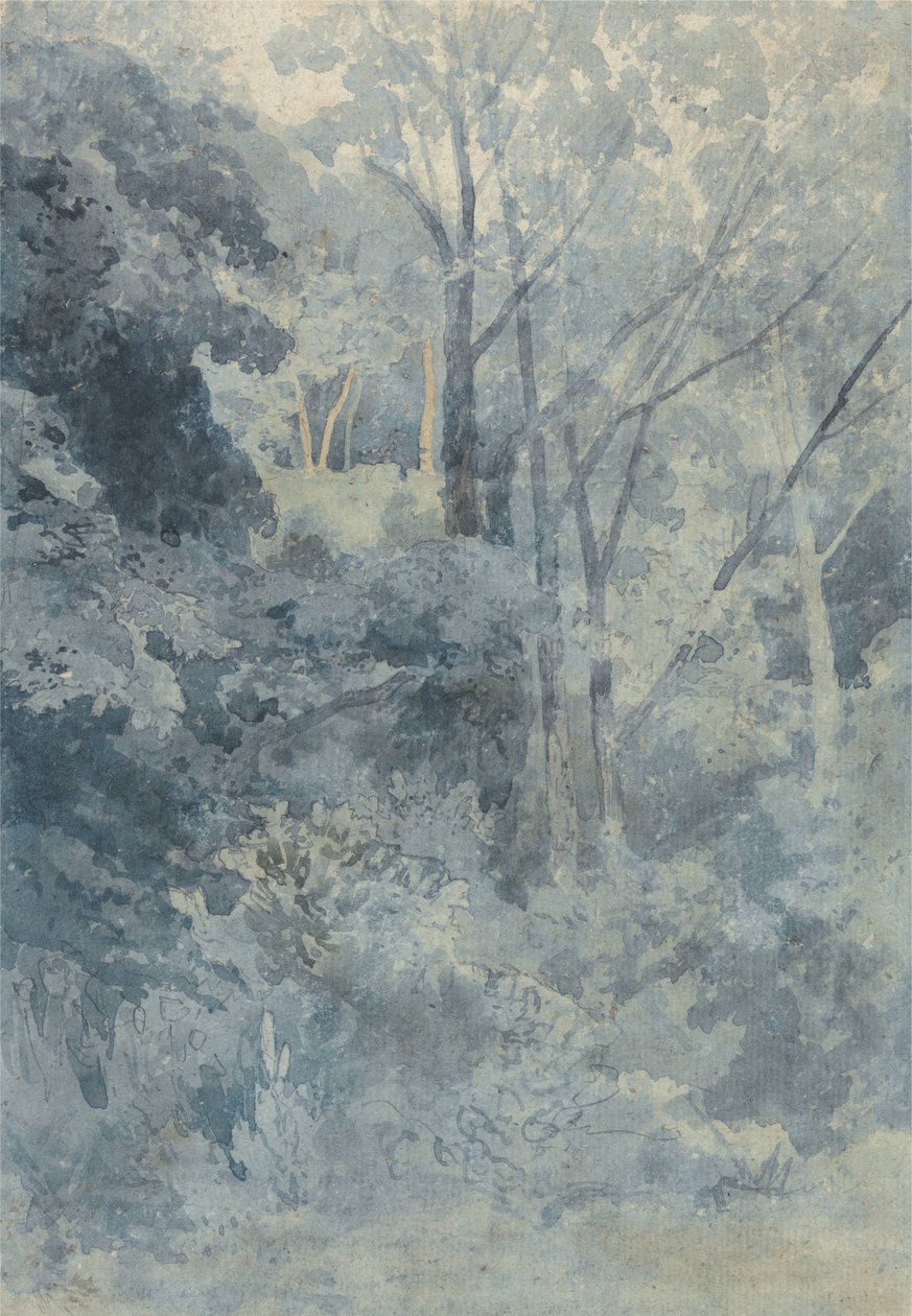 V Rokeby Parku od John Sell Cotman