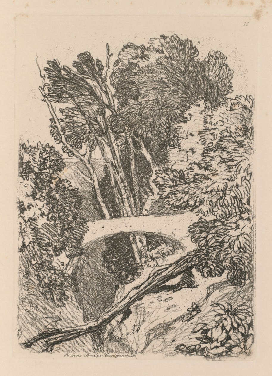 Liber Studiorum: Deska 11: Parsons Bridge, Cardingshire, 1838. od John Sell Cotman