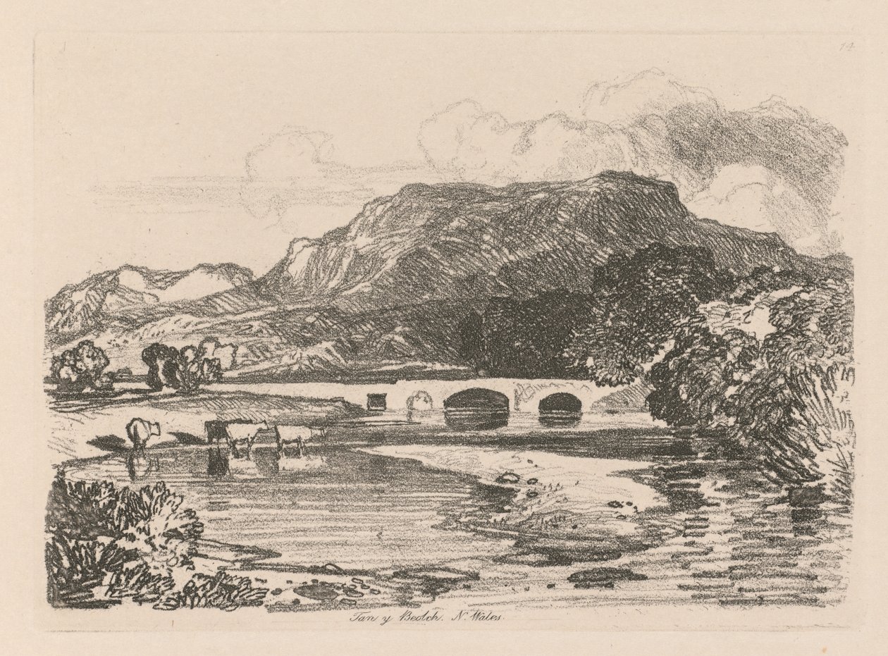 Liber Studiorum: Plate 14, Tan-y-Bwlch, Merionethshire, Severní Wales, 1838. od John Sell Cotman