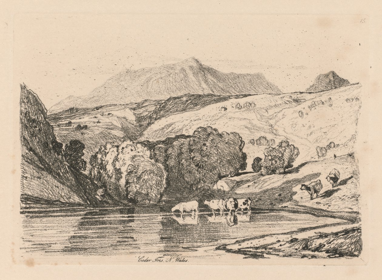 Kniha studií: Plate 15, Cader Iris, Severní Wales od John Sell Cotman
